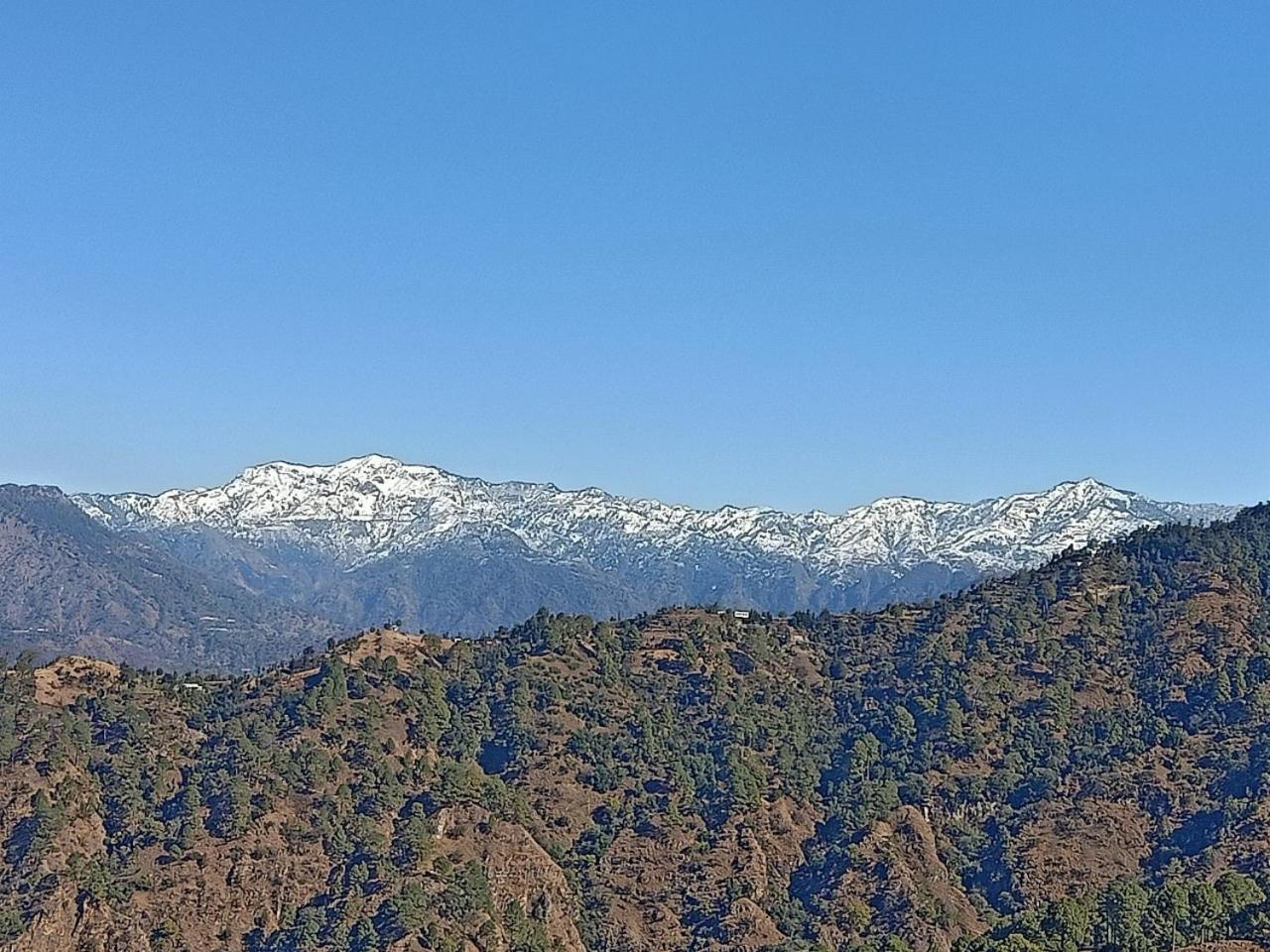 Shiva Valley Resort Kokhliyal Gaon Luaran gambar